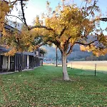 Western Holiday Lodge 